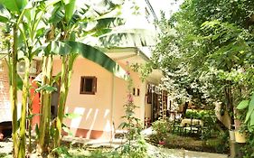 Sayfi Guesthouse